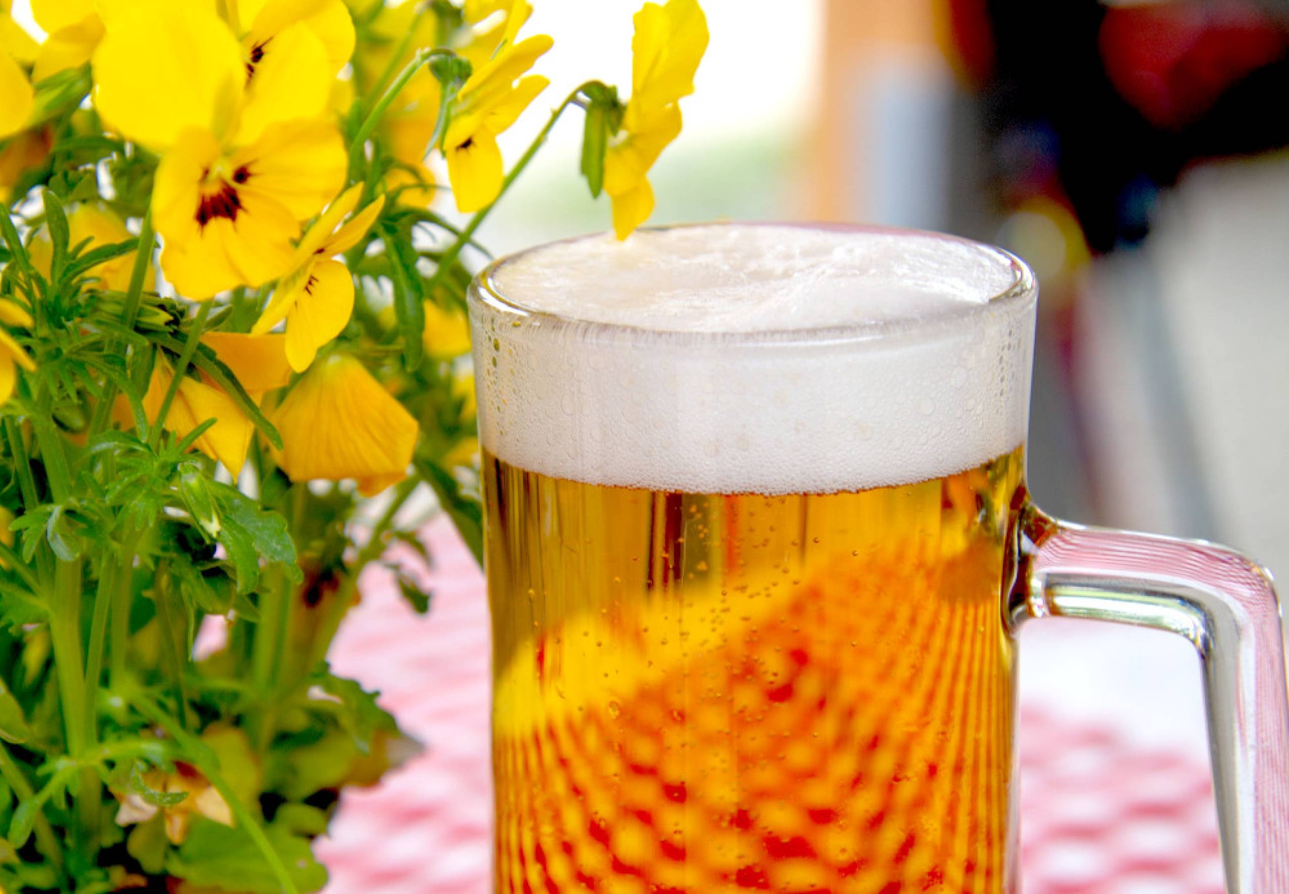 Smak, jakość czy cena? Za co konsumenci cenią piwo z polskich browarów?